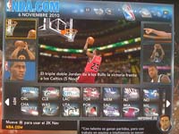 BULLS (02)