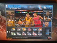 BULLS (16)