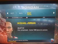 BULLS (17)