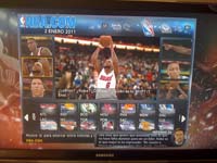 BULLS (29)