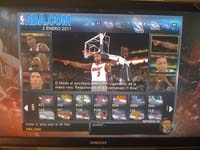 BULLS (31)