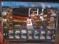 BULLS (36)